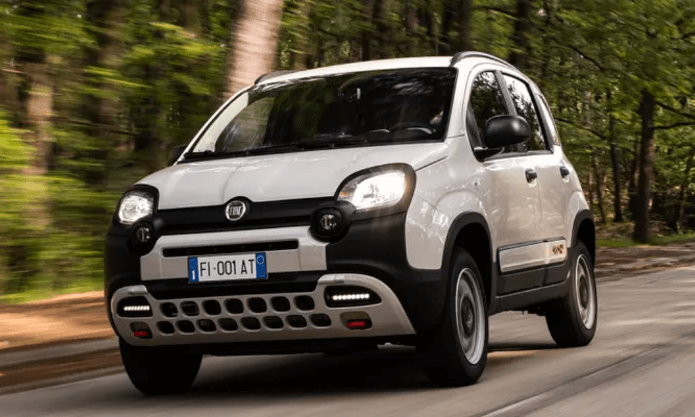 immagine che raffigura una fiat panda per la vendita auto Mengarelli Sirolo